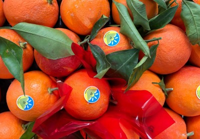 Foto Tarocco Ippolito Calibro 6 Origine Italia Marchio Frutteti Italiani 2